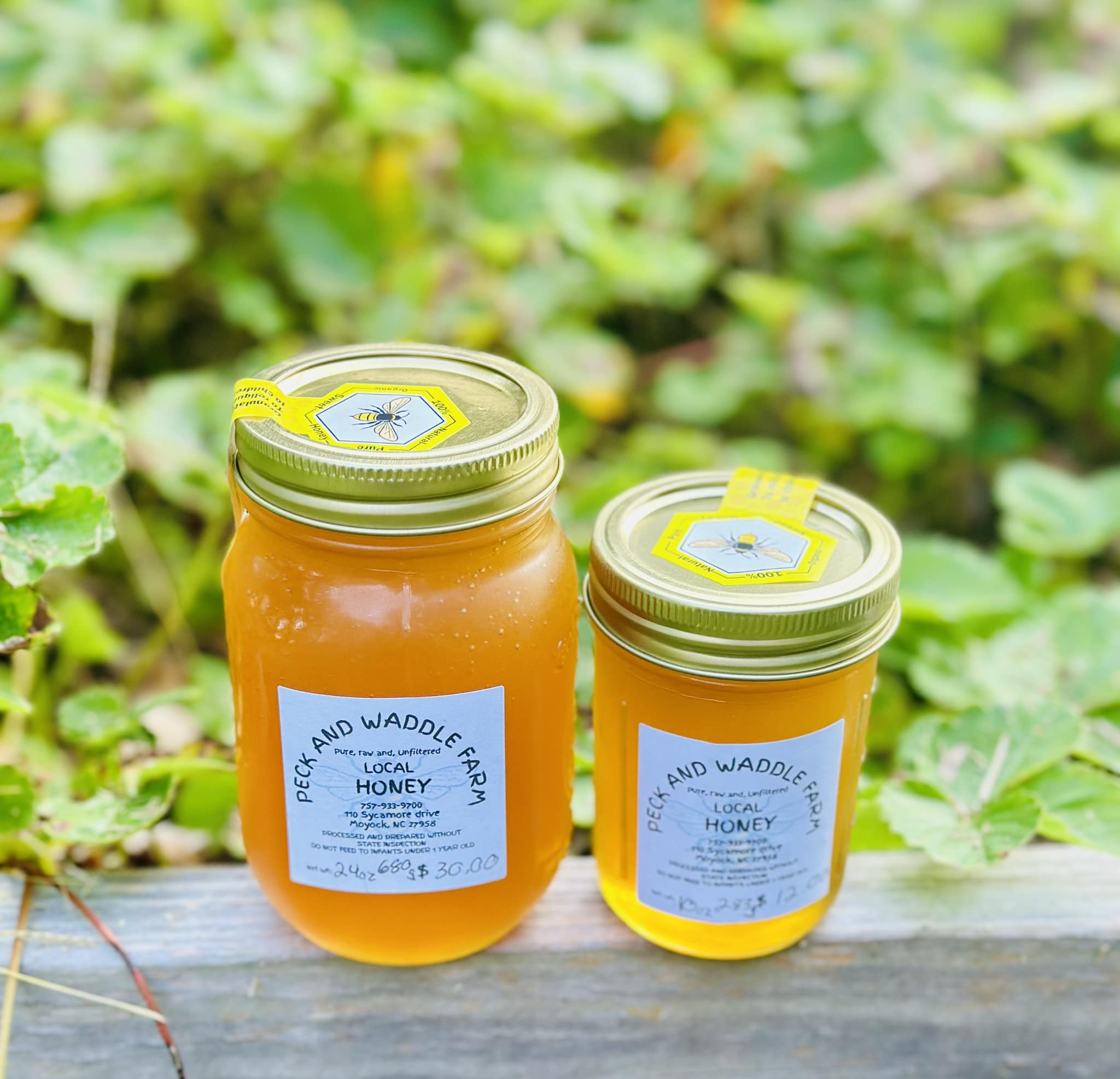 Fresh, Raw, Unfiltered NC Honey